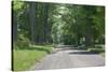 Country Road Berkshires MA Photo Poster-null-Stretched Canvas