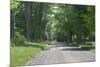 Country Road Berkshires MA Photo Poster-null-Mounted Poster