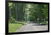 Country Road Berkshires MA Photo Poster-null-Framed Poster