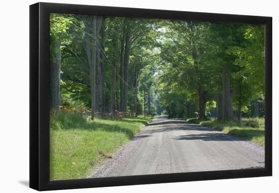 Country Road Berkshires MA Photo Poster-null-Framed Poster