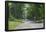 Country Road Berkshires MA Photo Poster-null-Framed Poster