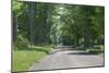 Country Road Berkshires MA Photo Poster-null-Mounted Poster