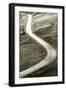 Country Road. Black and Blac Photography.-null-Framed Giclee Print