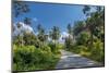 Country Road by Luxuriant Vegetation on Ko Samui, Thailand, Asia-P. Widmann-Mounted Photographic Print