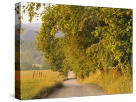 Country Road, Great Smoky Mountains National Park, Cades Cove, Tennessee, USA-Adam Jones-Stretched Canvas