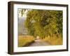 Country Road, Great Smoky Mountains National Park, Cades Cove, Tennessee, USA-Adam Jones-Framed Photographic Print