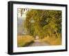 Country Road, Great Smoky Mountains National Park, Cades Cove, Tennessee, USA-Adam Jones-Framed Photographic Print