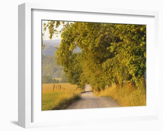 Country Road, Great Smoky Mountains National Park, Cades Cove, Tennessee, USA-Adam Jones-Framed Photographic Print