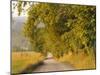 Country Road, Great Smoky Mountains National Park, Cades Cove, Tennessee, USA-Adam Jones-Mounted Photographic Print