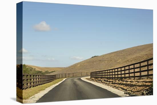 Country Road I-Karyn Millet-Stretched Canvas