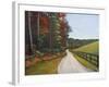 Country Road I-Tiffany Hakimipour-Framed Art Print