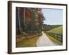 Country Road I-Tiffany Hakimipour-Framed Art Print