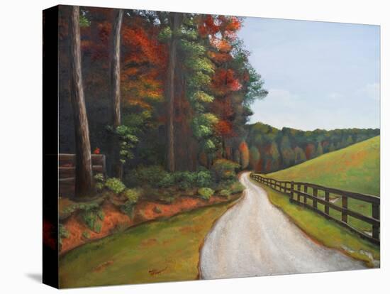 Country Road I-Tiffany Hakimipour-Stretched Canvas