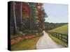 Country Road I-Tiffany Hakimipour-Stretched Canvas