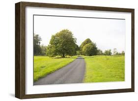 Country Road II-Karyn Millet-Framed Photographic Print