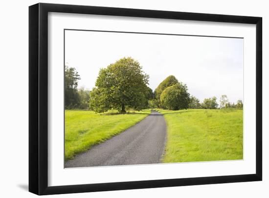 Country Road II-Karyn Millet-Framed Photographic Print