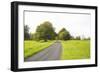 Country Road II-Karyn Millet-Framed Photographic Print