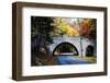 Country Road in Acadia, Maine-George Oze-Framed Photographic Print