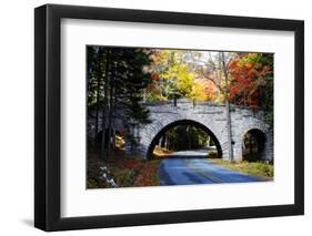 Country Road in Acadia, Maine-George Oze-Framed Photographic Print