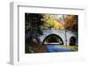 Country Road in Acadia, Maine-George Oze-Framed Photographic Print