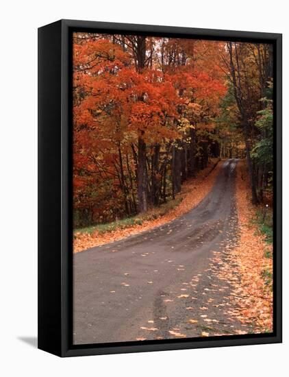 Country Road in Autumn, Vermont, USA-Charles Sleicher-Framed Stretched Canvas