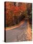 Country Road in Autumn, Vermont, USA-Charles Sleicher-Stretched Canvas