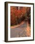 Country Road in Autumn, Vermont, USA-Charles Sleicher-Framed Photographic Print