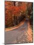 Country Road in Autumn, Vermont, USA-Charles Sleicher-Mounted Photographic Print