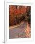 Country Road in Autumn, Vermont, USA-Charles Sleicher-Framed Photographic Print