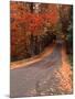 Country Road in Autumn, Vermont, USA-Charles Sleicher-Mounted Photographic Print