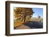 Country Road in Autumn-Harald Lange-Framed Photographic Print