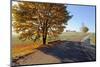 Country Road in Autumn-Harald Lange-Mounted Photographic Print