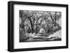 Country Road in Kansas, infrared photo-Michael Scheufler-Framed Photographic Print