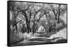 Country Road in Kansas, infrared photo-Michael Scheufler-Framed Stretched Canvas