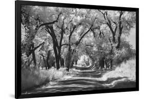 Country Road in Kansas, infrared photo-Michael Scheufler-Framed Photographic Print