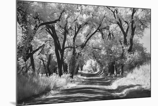 Country Road in Kansas, infrared photo-Michael Scheufler-Mounted Photographic Print