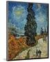 Country Road in Provence by Night, c.1890-Vincent van Gogh-Mounted Art Print