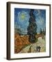 Country Road in Provence by Night, c.1890-Vincent van Gogh-Framed Giclee Print