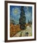 Country Road in Provence by Night, c.1890-Vincent van Gogh-Framed Giclee Print