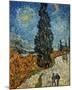 Country Road in Provence by Night, c.1890-Vincent van Gogh-Mounted Giclee Print