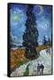 Country Road In Provence By Night-Vincent van Gogh-Framed Stretched Canvas