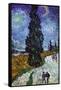 Country Road In Provence By Night-Vincent van Gogh-Framed Stretched Canvas