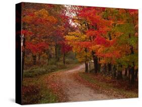 Country Road in the Fall, Vermont, USA-Charles Sleicher-Stretched Canvas
