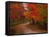 Country Road in the Fall, Vermont, USA-Charles Sleicher-Framed Stretched Canvas