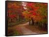 Country Road in the Fall, Vermont, USA-Charles Sleicher-Framed Stretched Canvas