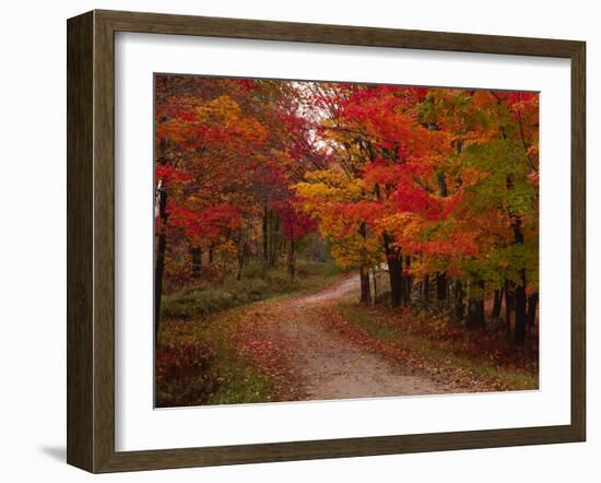 Country Road in the Fall, Vermont, USA-Charles Sleicher-Framed Premium Photographic Print