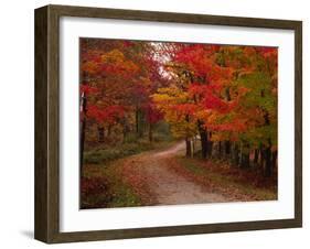 Country Road in the Fall, Vermont, USA-Charles Sleicher-Framed Premium Photographic Print