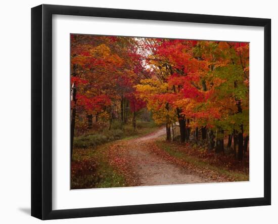 Country Road in the Fall, Vermont, USA-Charles Sleicher-Framed Premium Photographic Print