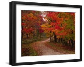 Country Road in the Fall, Vermont, USA-Charles Sleicher-Framed Premium Photographic Print