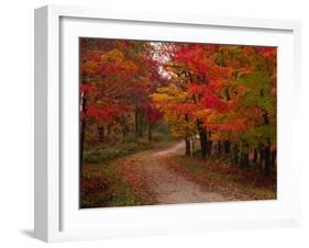 Country Road in the Fall, Vermont, USA-Charles Sleicher-Framed Premium Photographic Print